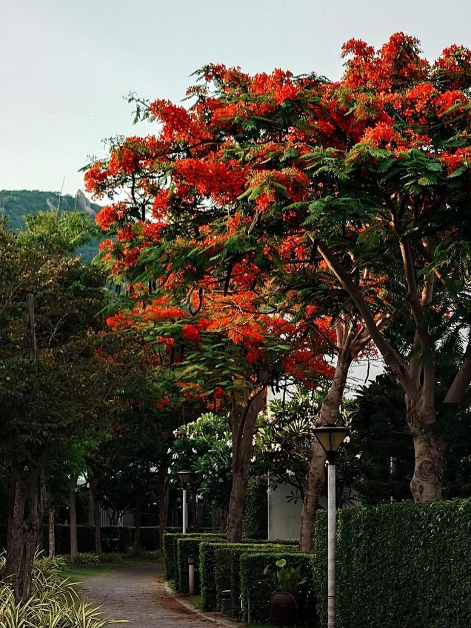 Oceanami Resort & Beach Club Long Hai Kültér fotó